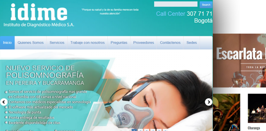 DESARROLLOS DE SITIOS WEB